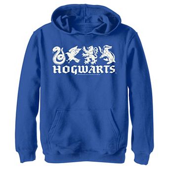 Boys 4-20 Harry Potter Hogwarts House Icons Line Up Graphic Fleece Hoodie