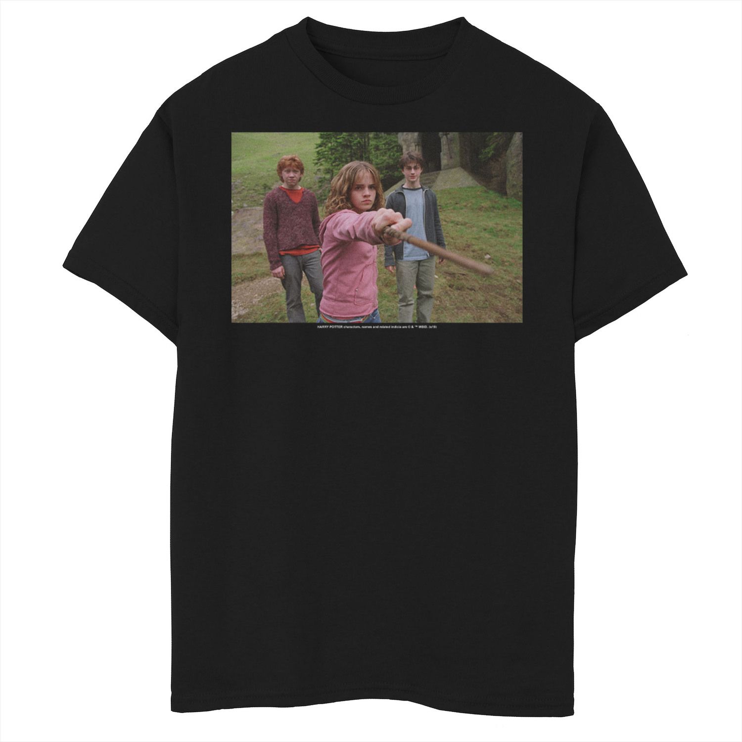 Image for Harry Potter Boys 8-20 Group Shot Poster Graphic Tee at Kohl's.
