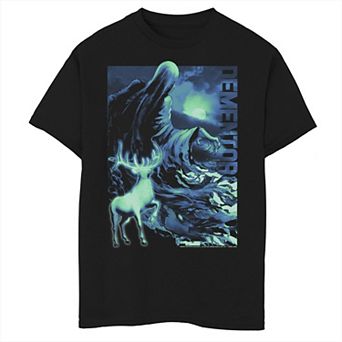 Boys 6-20 Harry Potter Dementor & Patronus Portrait Graphic Tee