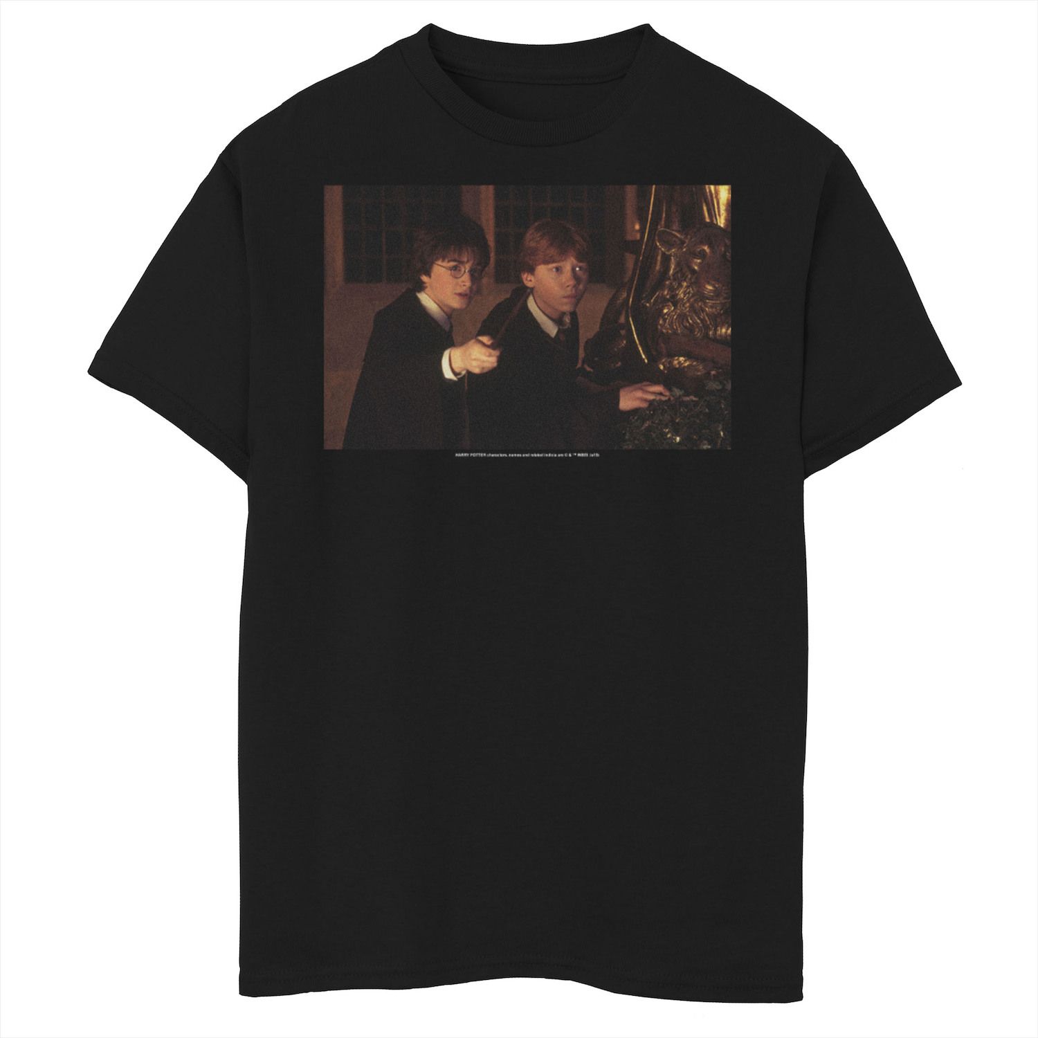 Image for Harry Potter Boys 8-20 Ron & Harry Wands Ready Portrait Graphic Tee at Kohl's.