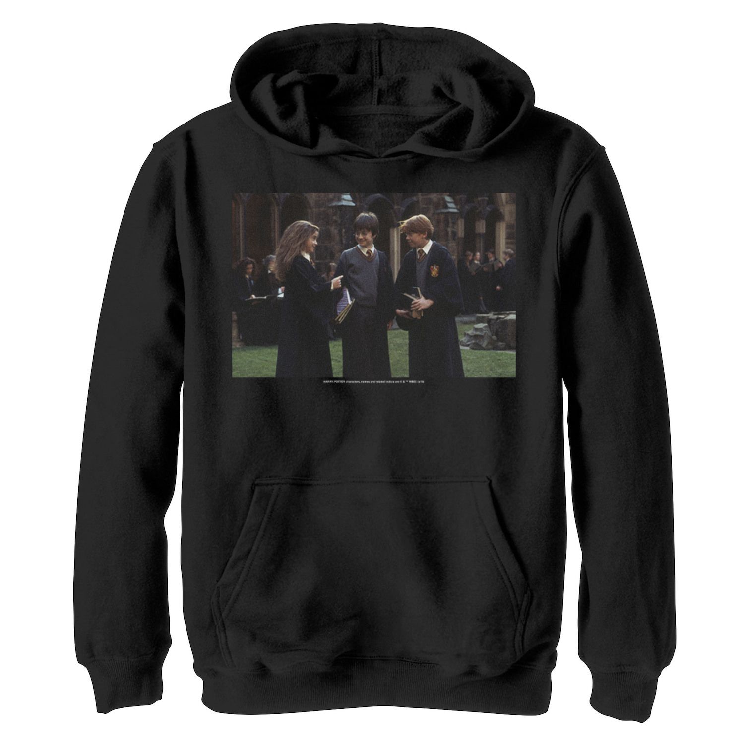 Image for Harry Potter Boys 8-20 Group Shot Portrait Graphic Fleece Hoodie at Kohl's.