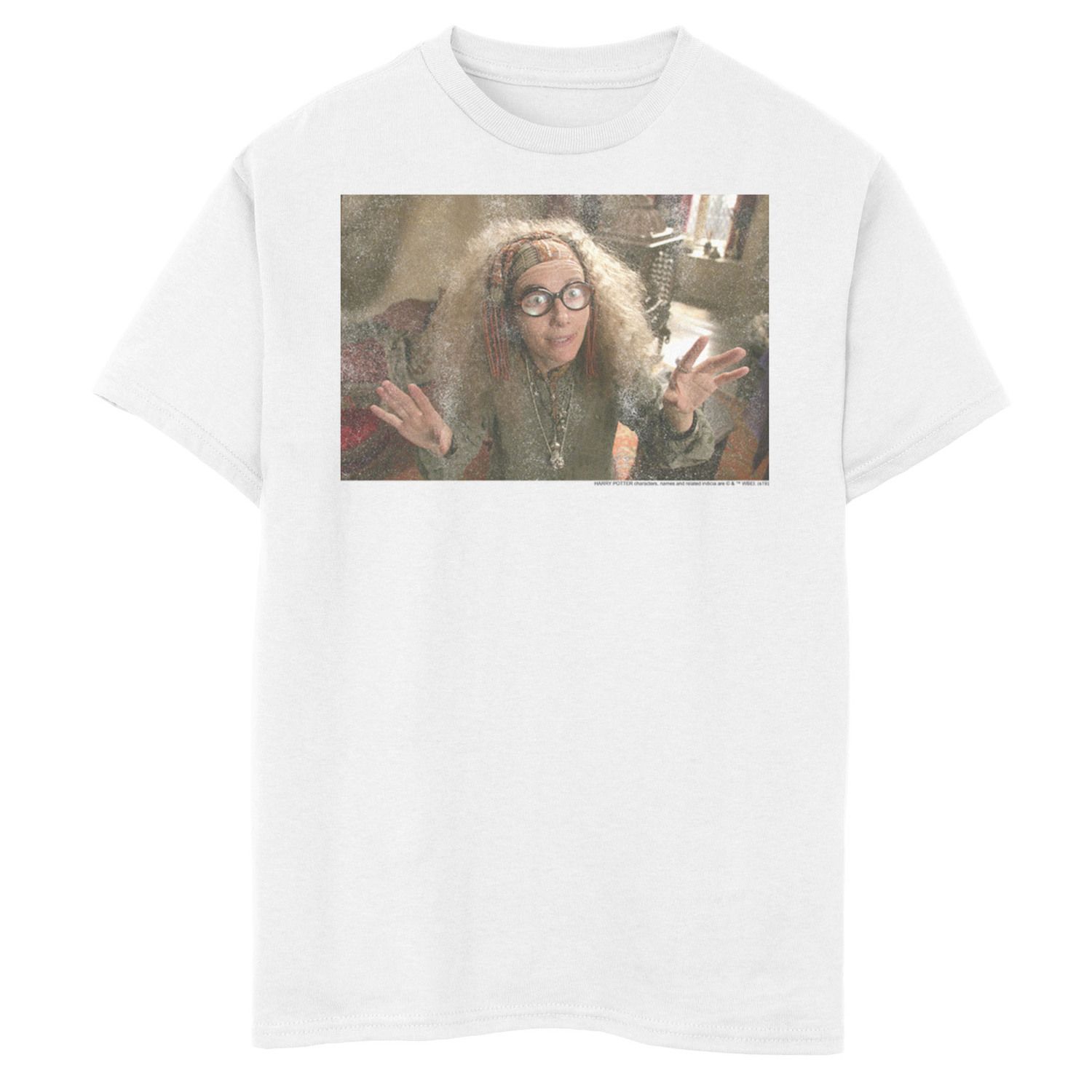 Image for Harry Potter Boys 8-20 Professor Sybill Trelawney Poster Graphic Tee at Kohl's.