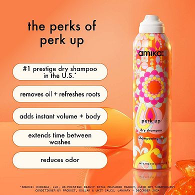 Perk Up Talc-Free Dry Shampoo