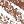 Medium Brown
