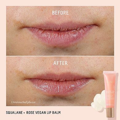 Squalane+ Rose Vegan Lip Balm