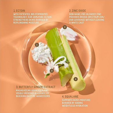 Zinc Sheer Hydrating Mineral Face Sunscreen SPF 30 with Ectoin + Squalane