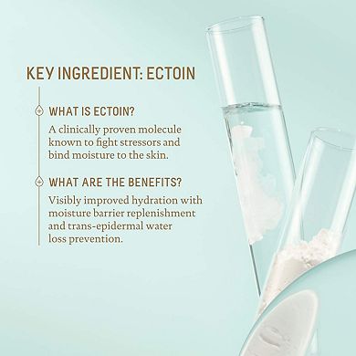 Zinc Sheer Hydrating Mineral Face Sunscreen SPF 30 with Ectoin + Squalane