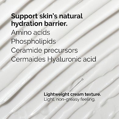Mini Natural Moisturizing Factors + HA