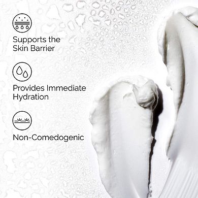 Mini Natural Moisturizing Factors + HA