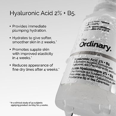 Hyaluronic Acid 2% + B5 Hydrating Serum with Ceramides