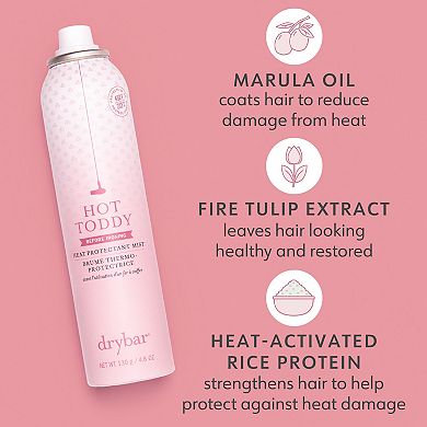 Hot Toddy Heat Protectant Mist