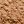 Neutral Tan 21