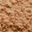 Neutral Tan 21