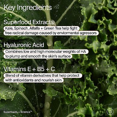 Superfood Air-Whip Lightweight Face Moisturizer with Hyaluronic Acid