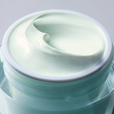 DayWear Anti-Oxidant 24-Hour Moisturizer Cream SPF 15 for Normal/Combination Skin