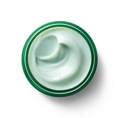 Cold Plunge Pore Remedy Moisturizer with BHA/LHA