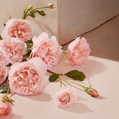 Roses De Chloe Eau de Toilette Rollerball