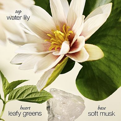 Pure Grace Perfumed Body Lotion