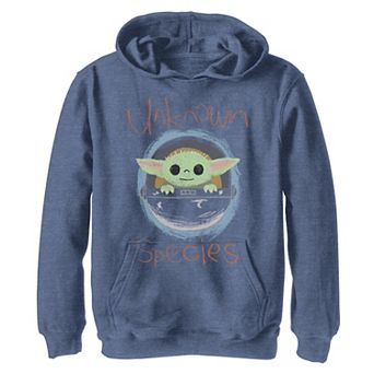 Boys 8-20 Star Wars The Mandalorian The Child aka Baby Yoda Unknown Species Sketch Graphic Hoodie