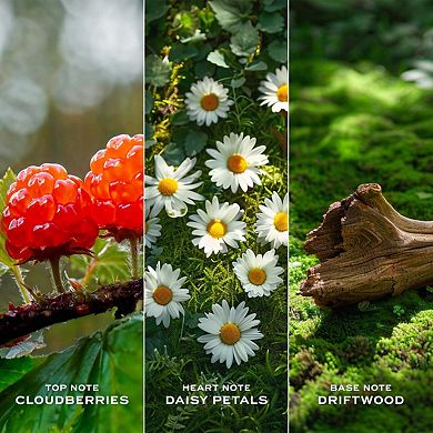 Daisy Love Eau de Toilette with Crystalized Cloudberries, Daisy Petals & Driftwoods