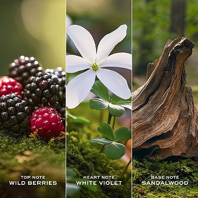 Daisy Eau de Toilette with Wild Berries, White Violet & Sandalwood Notes
