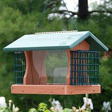 Woodlink Going Green 5.5-Pound Seed Hanging Bird Feeder with 2 Suet Cages, Green
