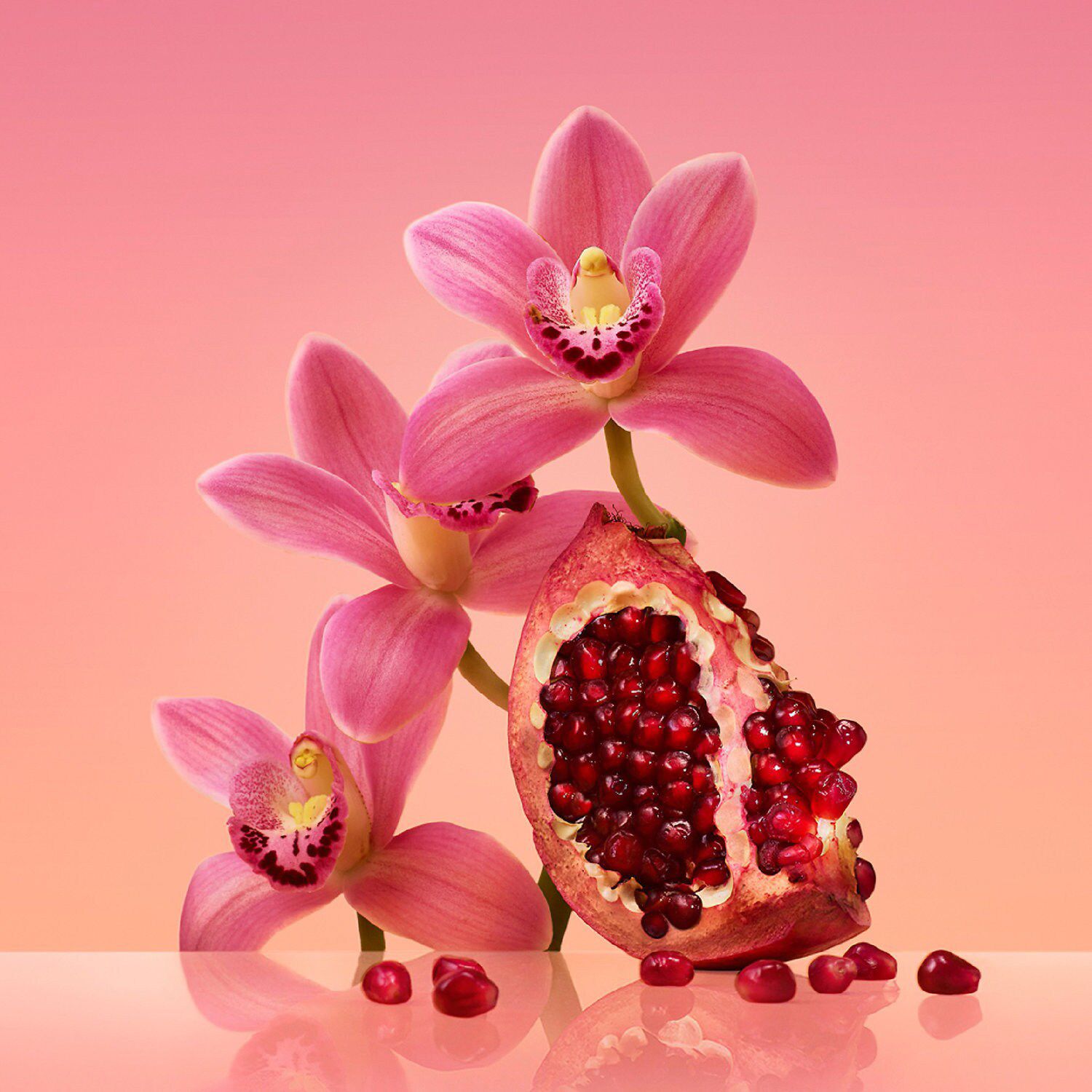 Euphoria perfume kohls online