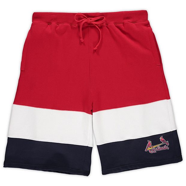 Fanatics Plus Size Navy St. Louis Cardinals Official Logo