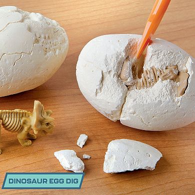 Ryan's World Toy Surprise Unboxing Dino Fossil Excavation Playset