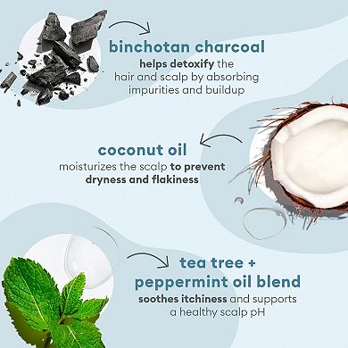 Briogeo Scalp Revival Charcoal + Tea Tree Cooling Hydration Mask for ...