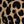 Tan Wild Cheetah