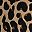 Tan Wild Cheetah