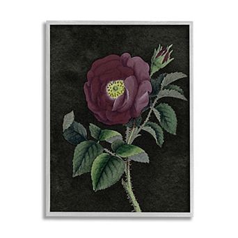 Stupell Home Decor Purple Poppy Framed Wall Art