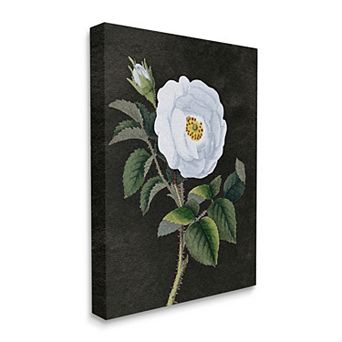 Stupell Home Decor White Poppy Thorns Canvas Wall Art