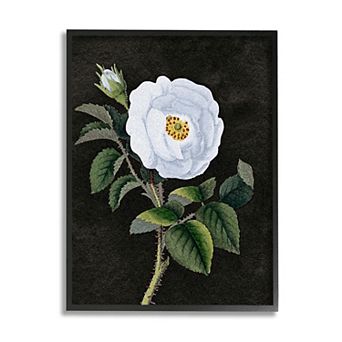 Stupell Home Decor White Poppy Thorns Framed Wall Art