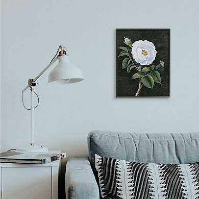 Stupell Home Decor White Poppy Thorns Framed Wall Art