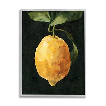 Stupell Home Decor Abstract Lemon Framed Wall Art