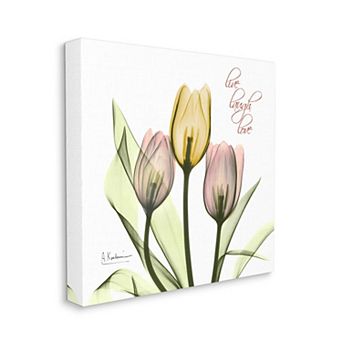 Stupell Home Decor Live Laugh Love Tulip Canvas Wall Art