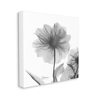 Stupell Home Decor Opaque Dahlia Canvas Wall Art