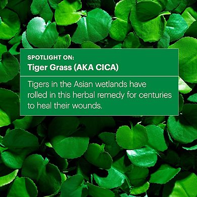 Cicapair Tiger Grass Color Correcting Treatment SPF 30