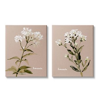 Stupell Home Decor Bonesets Flower Canvas Wall Art 2 pc Set