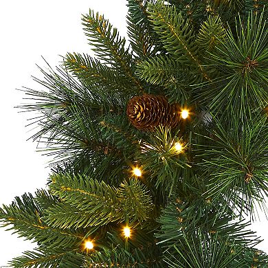 nearly natural Mixed Pine LED Artificial Christmas Wreath