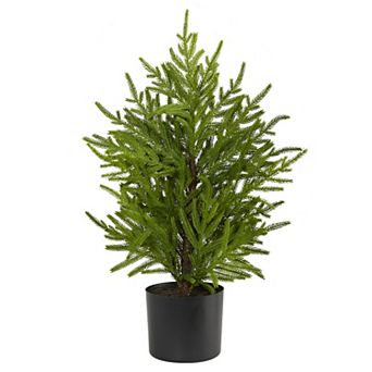 nearly natural 2-ft. Norfolk Island Pine Artificial Christmas Tree