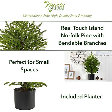 nearly natural 2-ft. Norfolk Island Pine Artificial Christmas Tree