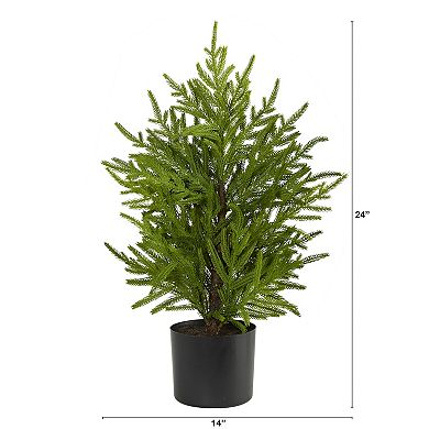 nearly natural 2-ft. Norfolk Island Pine Artificial Christmas Tree