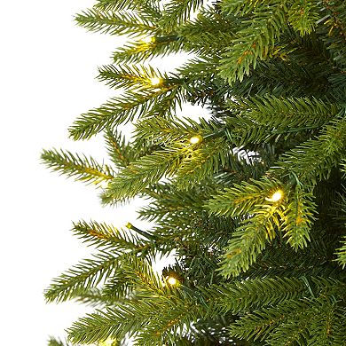 nearly natural 6-ft. Belgium Fir Pre-Lit Artificial Christmas Tree - Indoor