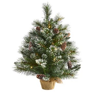 nearly natural 2-ft. Frosted Pine Pre-Lit Artificial Christmas Tree - Indoor