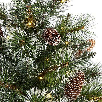 nearly natural 2-ft. Frosted Pine Pre-Lit Artificial Christmas Tree - Indoor