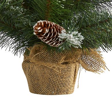 nearly natural 2-ft. Frosted Pine Pre-Lit Artificial Christmas Tree - Indoor
