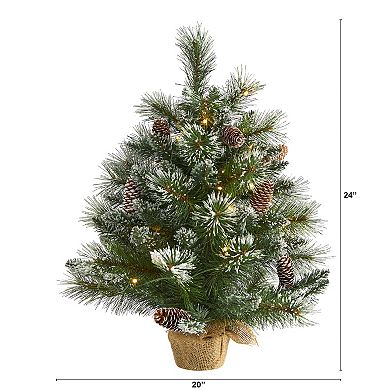 nearly natural 2-ft. Frosted Pine Pre-Lit Artificial Christmas Tree - Indoor